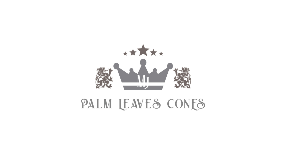 Our Palm Leaves Cones 100 % ECO